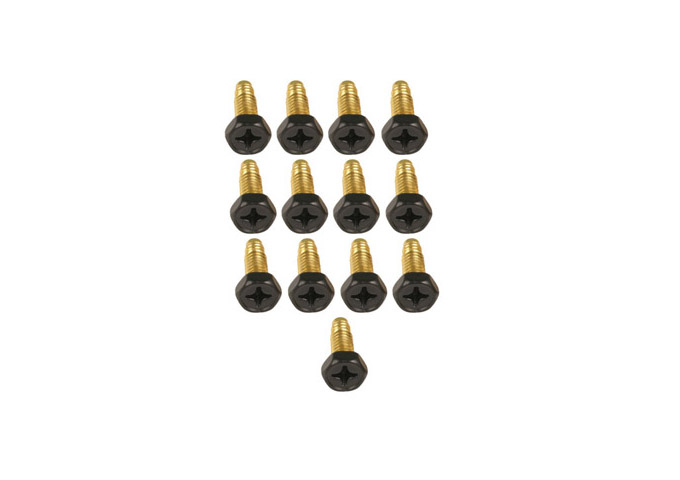 Brass Screws (13 pack)